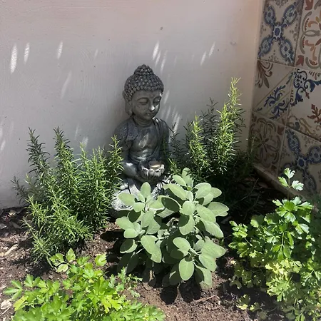 Appartement Blue 8 Garden