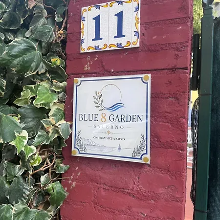 Blue 8 Garden
